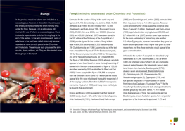 Fungi Fungi (Excluding Taxa Treated Under Chromista and Protoctista)