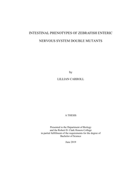Intestinal Phenotypes of Zebrafish Enteric Nervous System Double Mutants