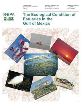The Ecological Condition of Estuaries in the Gulf of Mexico (Pdf)