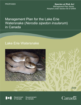 Lake Erie Watersnake (Nerodia Sipedon Insularum) in Canada