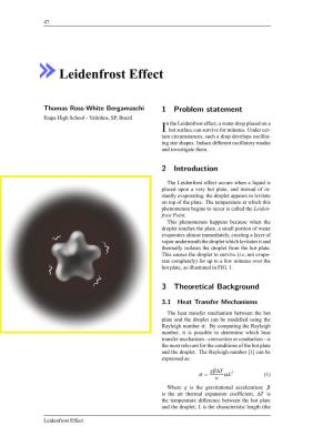 Leidenfrost Effect