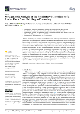 Metagenomic Analysis of the Respiratory Microbiome of a Broiler Flock from Hatching to Processing