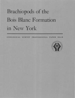 Brachiopods of the Bois Blanc Formation in New York