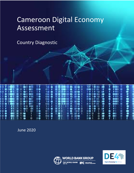 Cameroon Digital Economy Assessment