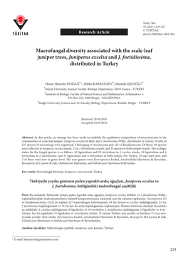 Macrofungal Diversity Associated with the Scale-Leaf Juniper Trees, Juniperus Excelsa and J
