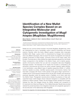 Identification of a New Mullet Species Complex Based On
