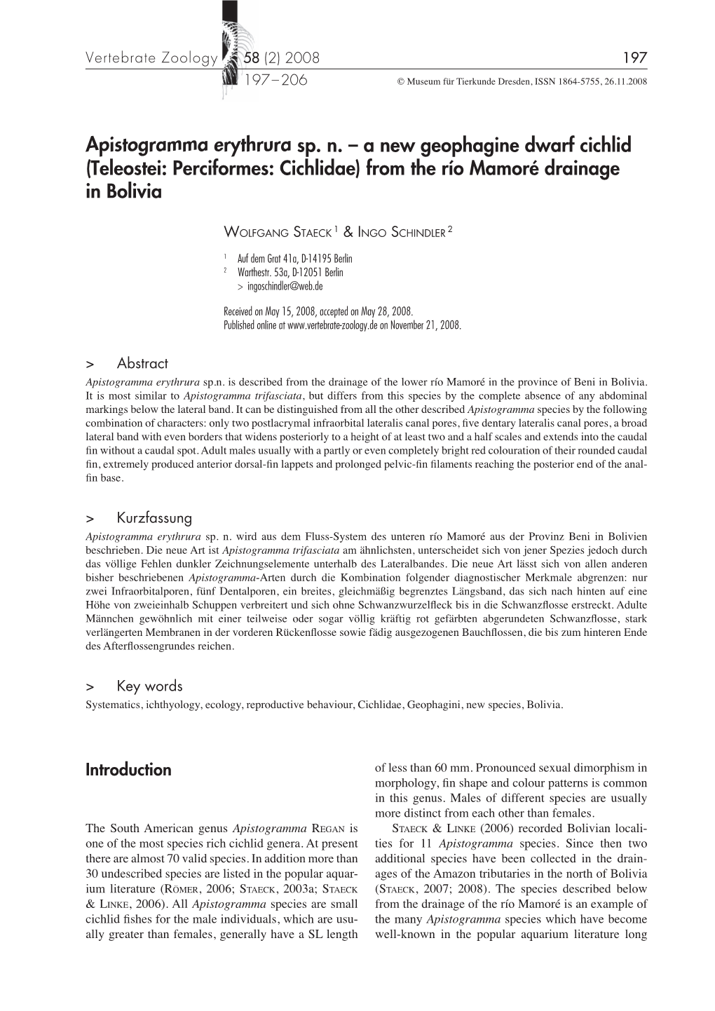 Apistogramma Erythrura Sp. N. – a New Geophagine Dwarf Cichlid (Teleostei: Perciformes: Cichlidae) from the Río Mamoré Drainage in Bolivia