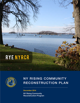 Rye Nyrcr Planning Committee