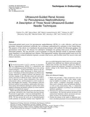 Ultrasound-Guided Renal Access for Percutaneous Nephrolithotomy: a Description of Three Novel Ultrasound-Guided Needle Techniques