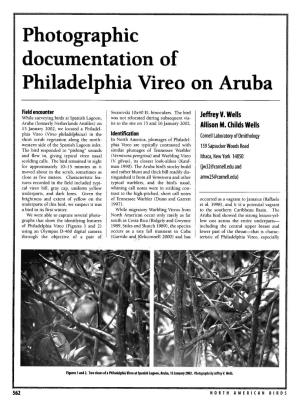 Photographic Documentation of Philadelphia Vireo on Aruba