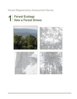 1 Forest Ecology: How a Forest Grows