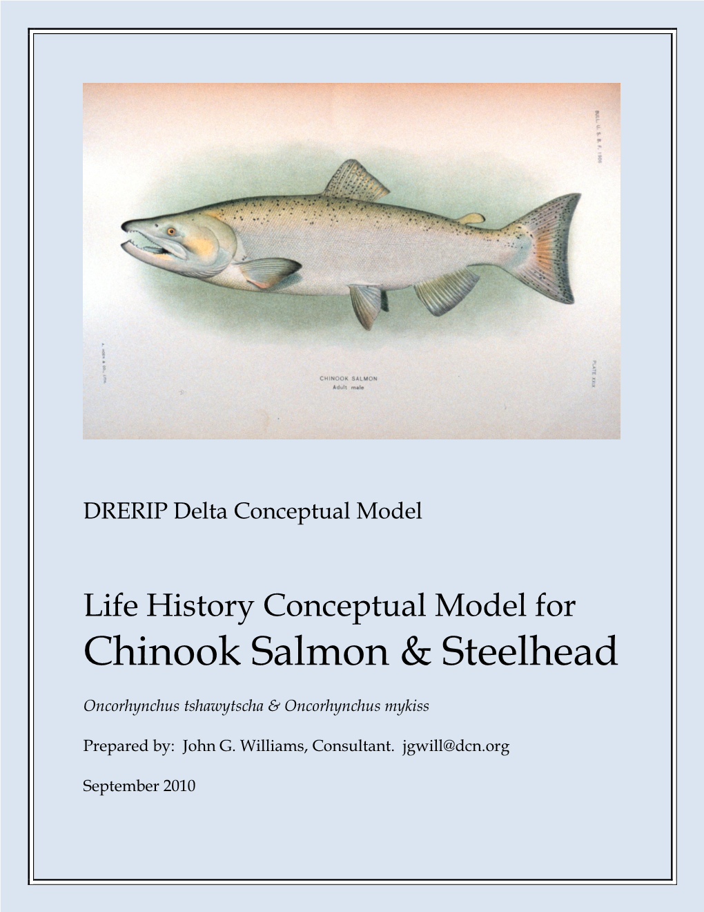 Life History Conceptual Model Chinook Salmon And