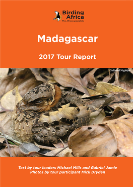 Madagascar 2017 Tour Report the Africa Specialists Africa the Birding Africa Collared Nightjarcollared
