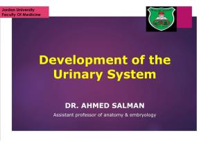 Development of the Urinary System