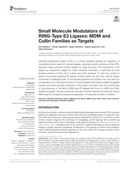 Small Molecule Modulators of RING-Type E3 Ligases: MDM and Cullin Families As Targets