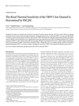 The Basal Thermal Sensitivity of the TRPV1 Ion Channel Is Determined by PKC␤II