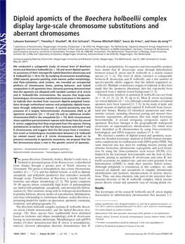 Diploid Apomicts of the Boechera Holboellii Complex Display Large-Scale Chromosome Substitutions and Aberrant Chromosomes