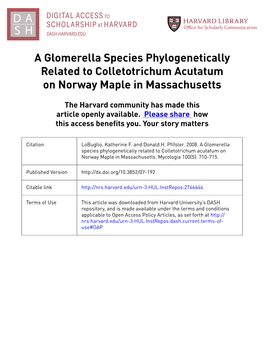 A Glomerella Species Phylogenetically Related to Colletotrichum Acutatum on Norway Maple in Massachusetts