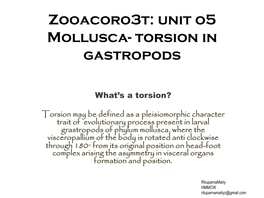 Zooacoro3t: Unit O5 Mollusca- Torsion in Gastropods