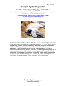 Urinalysis Dipstick Interpretation