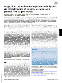 Insights Into the Evolution of Regulated Actin Dynamics Via Characterization of Primitive Gelsolin/Cofilin Proteins from Asgard Archaea