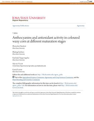 Anthocyanins and Antioxidant Activity in Coloured Waxy Corn at Different Maturation Stages Bhornchai Harakotr Khon Kaen University