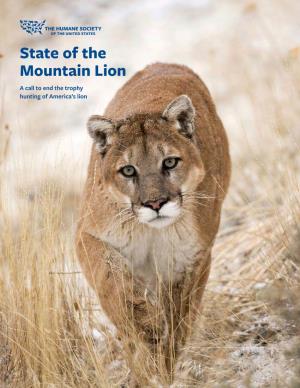 State of the Mountain Lion a Call to End the Trophy Hunting of America’S Lion STATE of the MOUNTAIN LION 1 Front Cover: a Wild Mountain Lion in Montana