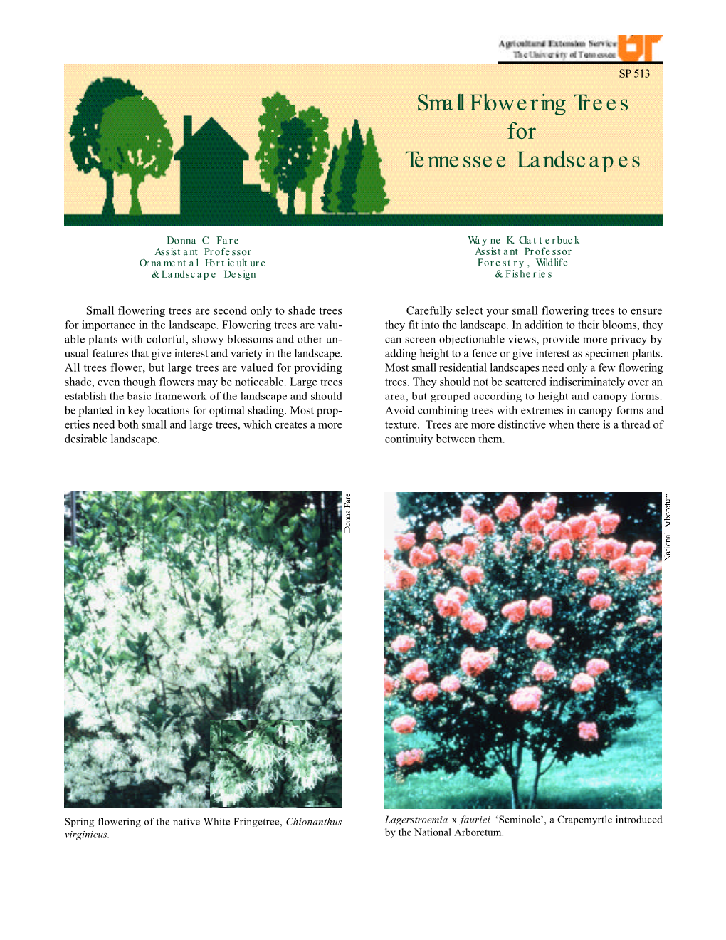 Small Flowering Trees for Tennessee Landscapes