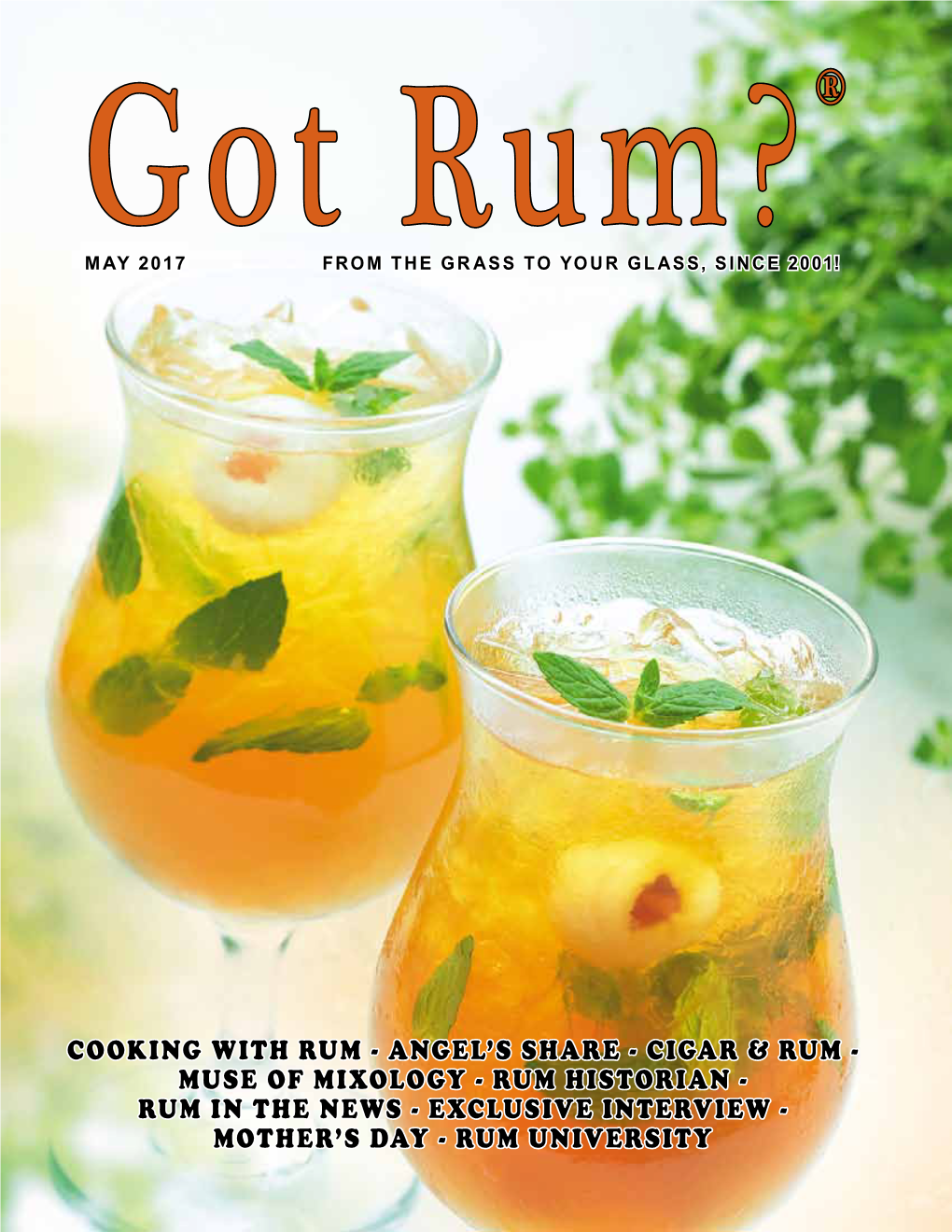 MUSE of MIXOLOGY - RUM HISTORIAN - RUM in the NEWS - EXCLUSIVE INTERVIEW - MOTHER’S DAY - RUM UNIVERSITY 6