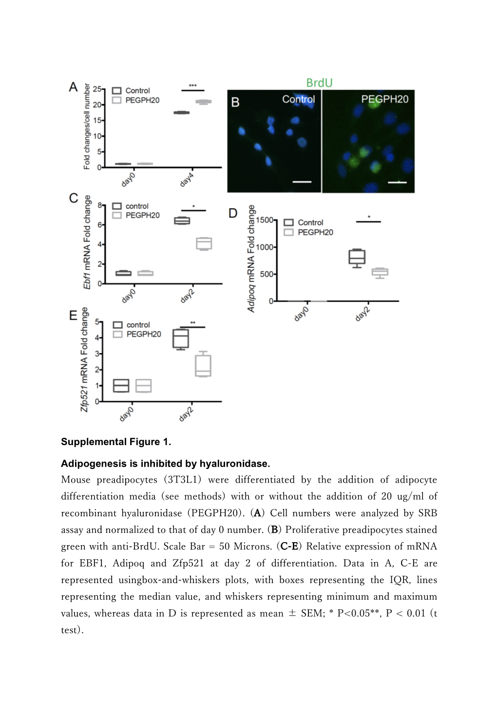 Supplemental Figure 1. Adipogenesis Is Inhibited by Hyaluronidase. Mouse Preadipocytes