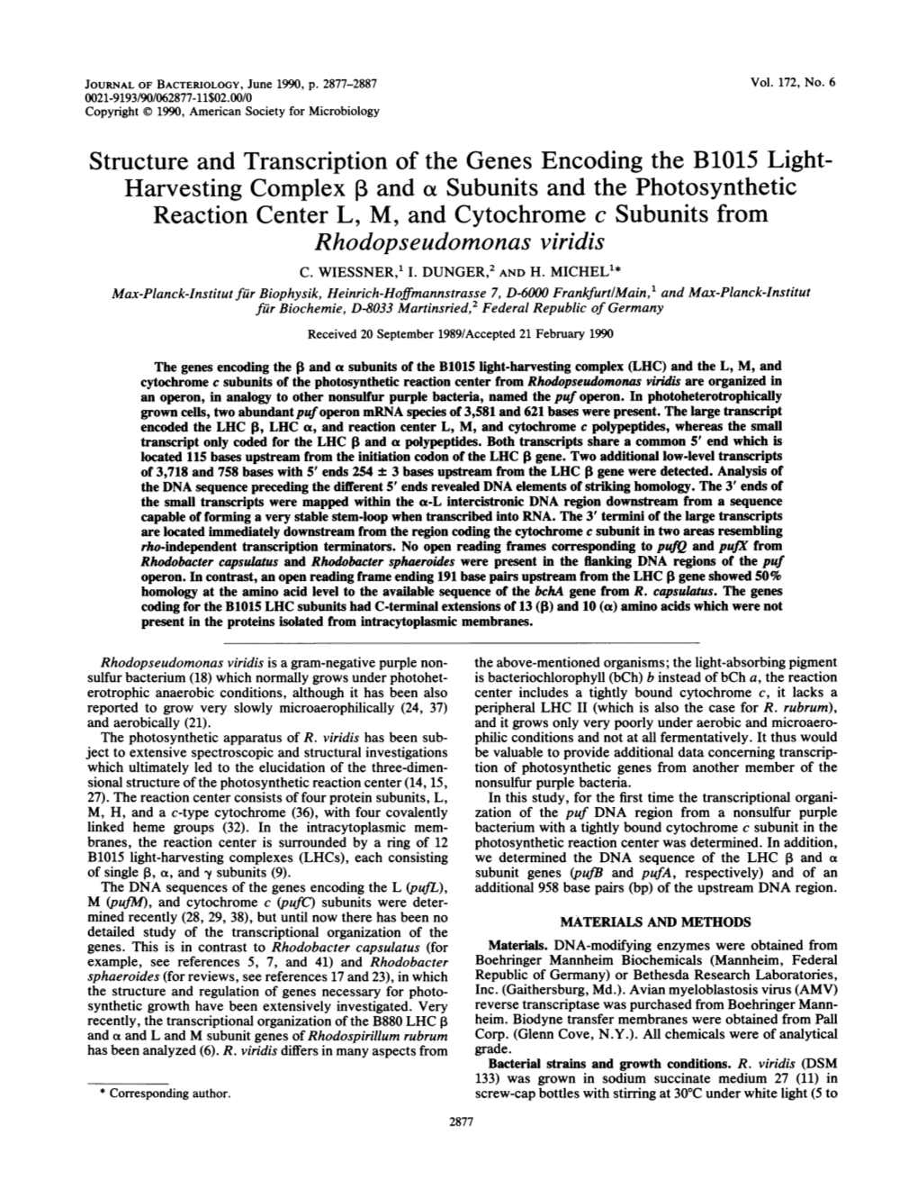 Rhodopseudomonas Viridis C