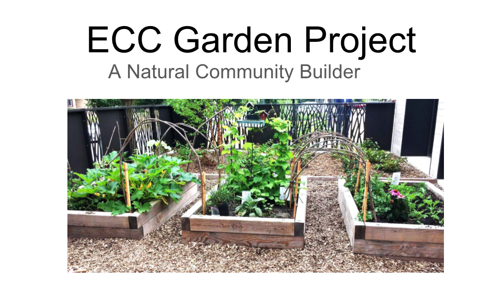 ECC Garden Project a Natural Community Builder Using the Five Senses to Plan a Child-Friendly Garden