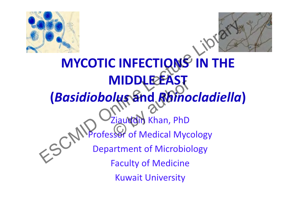 ESCMID Online Lecture Library © by Author ESCMID Online Lecture Library Splendore-Hoeppli Phenomenon (H &E) and Broad, Aseptate Hyphal Fragments (GMS) CULTURE