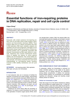 Essential Functions of Iron-Requiring Proteins in DNA Replication, Repair and Cell Cycle Control