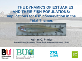 THE DYNAMICS of ESTUARIES and THEIR FISH POPULATIONS: Implications for Fish Conservation in the Tidal Thames