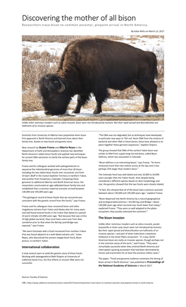 Discovering the Mother of All Bison Researchers Trace Bison to Common Ancestor, Pinpoint Arrival in North America