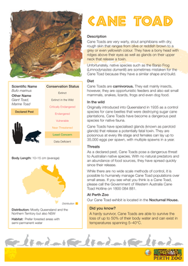 Cane Toad Fact Sheet