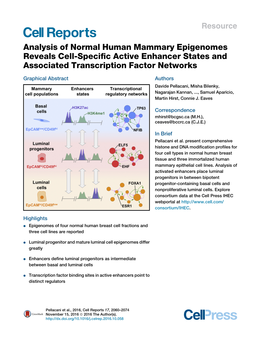 Analysis of Normal Human Mammary Epigenomes Reveals Cell-Specific
