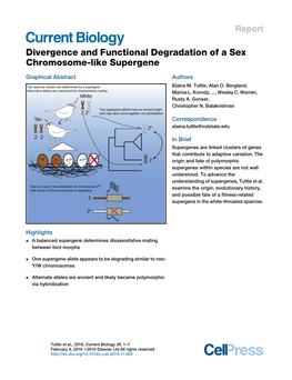 Divergence and Functional Degradation of a Sex Chromosome-Like Supergene
