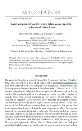 &lt;I&gt;Lichenostigma Epirupestre&lt;/I&gt; a New Lichenicolous Species On