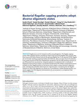 Bacterial Flagellar Capping Proteins Adopt Diverse Oligomeric States