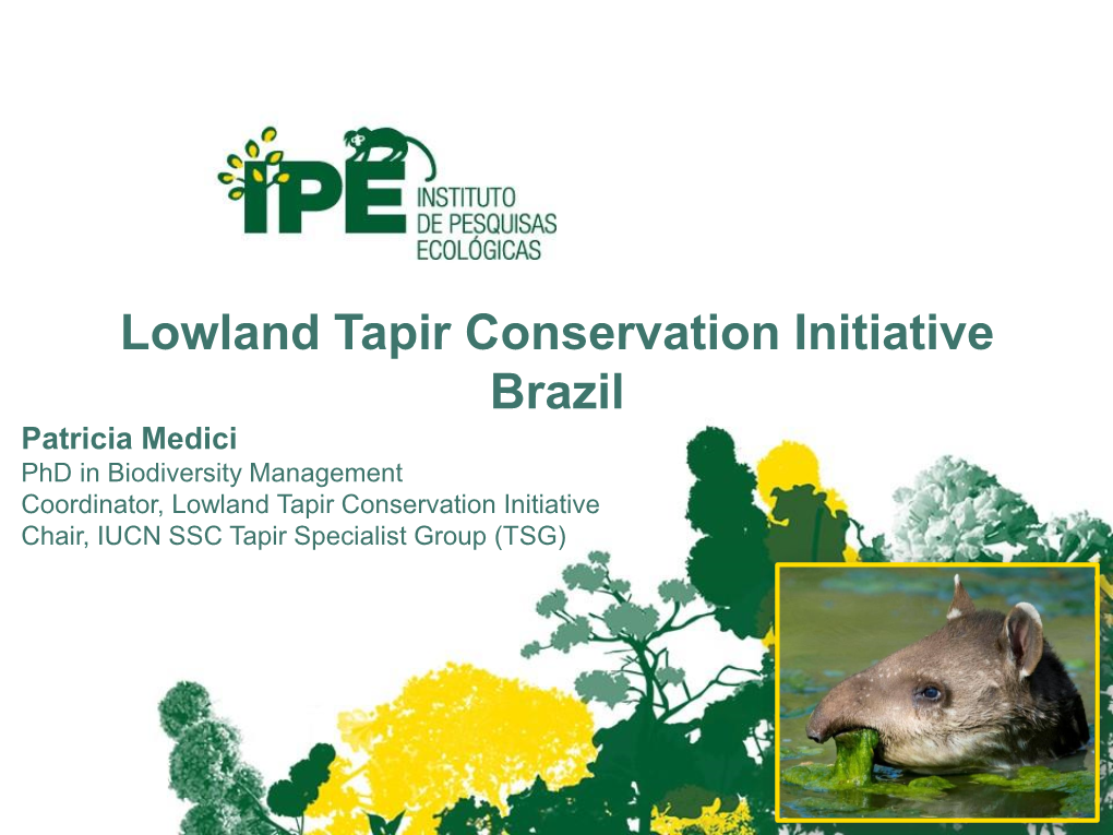 Lowland Tapir Conservation Initiative Brazil