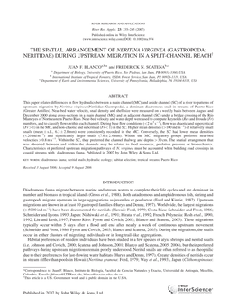 THE SPATIAL ARRANGEMENT of NERITINA VIRGINEA (GASTROPODA: NERITIDAE) DURING UPSTREAM MIGRATION in a SPLIT-CHANNEL Reachy