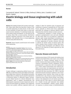 Elastin Biology and Tissue Engineering with Adult Cells