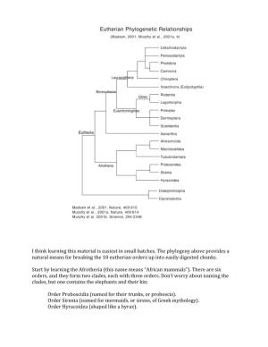 I Think Learning This Material Is Easiest in Small Batches. the Phylogeny Above Provides a Natural Means for Breaking the 18 Eu