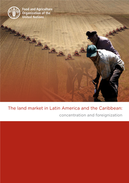 The Land Market in Latin America and the Caribbean: Concentration And