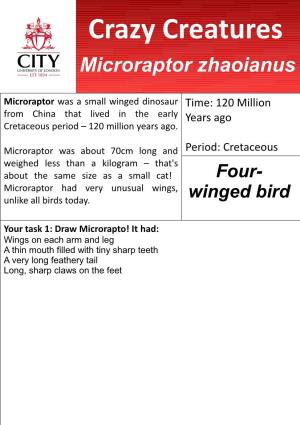 Microraptor Zhaoianus