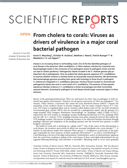 Viruses As Drivers of Virulence in a Major Coral Bacterial Pathogen Received: 17 June 2015 1 2 2 1,3,4 Accepted: 09 November 2015 Karen D