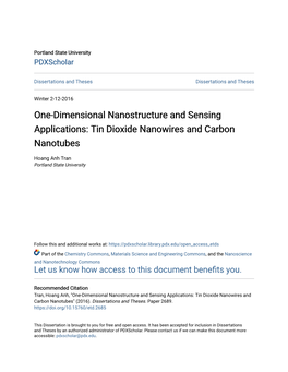 Tin Dioxide Nanowires and Carbon Nanotubes