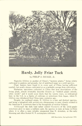 Hardy, Jolly Friar Tuck by PHILIP J